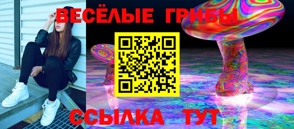 Бузулук  Псилоцибиновые грибы Psilocybe  Вход с VPN 